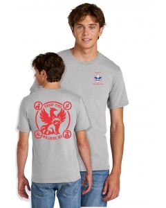 Port & Co Easy Cotton Tee - Silver DTF - PC43
